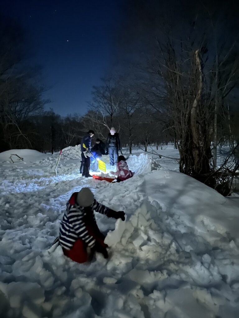 night activity in snow